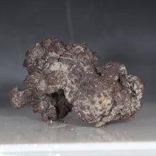 Load image into Gallery viewer, Madagascar Fossil Tortoise Poop