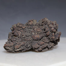 Load image into Gallery viewer, Tortoise Fossil Feces - Madagascar Original