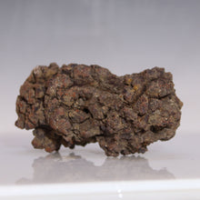 Load image into Gallery viewer, Tortoise Fossil Feces - Madagascar