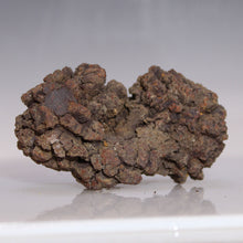 Load image into Gallery viewer, Tortoise Fossil Feces - Madagascar