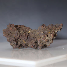 Load image into Gallery viewer, Fossil Tortoise Poop - Madagascar