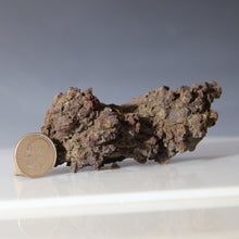 Load image into Gallery viewer, Fossil Tortoise Poop - Madagascar