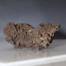 Load image into Gallery viewer, Fossil Tortoise Poop - Madagascar