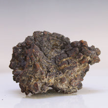 Load image into Gallery viewer, Tortoise Fossil Feces - Madagascar Original