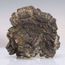 Load image into Gallery viewer, Tortoise Fossil Feces - Madagascar Original