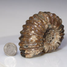 Load image into Gallery viewer, Size comparison with dime