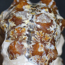 Load image into Gallery viewer, Close up of Douvilleiceras Ammonite Oak Leaf Sutures