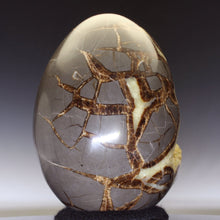 Load image into Gallery viewer, Geode Septarian crystal