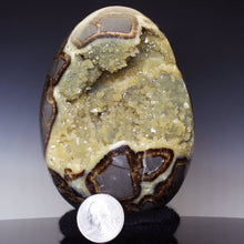 Load image into Gallery viewer, Geode Septarian crystal