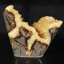 Load image into Gallery viewer, Dragon Stone Septarian Free Form Crystal side view