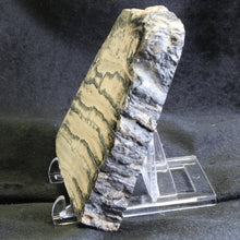 Load image into Gallery viewer, Mammoth Fossil Tooth Florida - Desert Buckeye Gallery