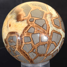 Load image into Gallery viewer, Septarian Geode Sphere with Highly Evolved Alligator Skin Pattern