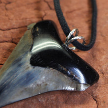 Load image into Gallery viewer, Great White Fossil Tooth Pendant - Turquoise Inlay Jewelry.