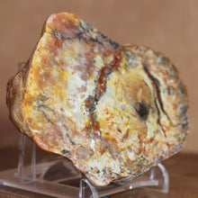 Load image into Gallery viewer, Large Fossil Dino Poop - Red Yellow Coprolite
