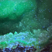 Load image into Gallery viewer, Blue Deep Chambered Dugway Geode - Fluorescent
