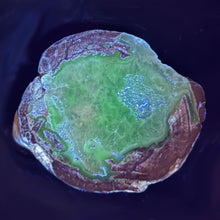 Load image into Gallery viewer, Blue Dugway Geode Half Fluorescent Fractured Ice
