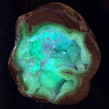 Load image into Gallery viewer, Blue Dugway Geode Half Green Fluorescence
