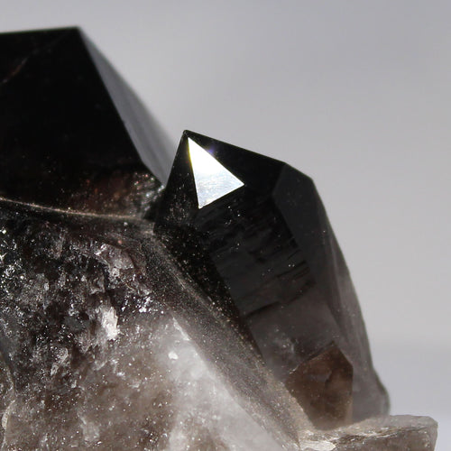 Black Smoky Quartz Crystal