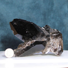 Load image into Gallery viewer, Black Smoky Quartz - Heavy Dusting of Crystals
