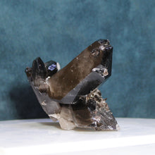 Load image into Gallery viewer, Black Smoky Quartz - Heavy Dusting of Crystals
