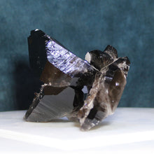 Load image into Gallery viewer, Black Smoky Quartz - Heavy Dusting of Crystals
