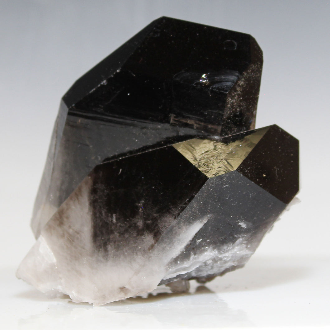 Black Smoky Quartz - Piggy Back Points