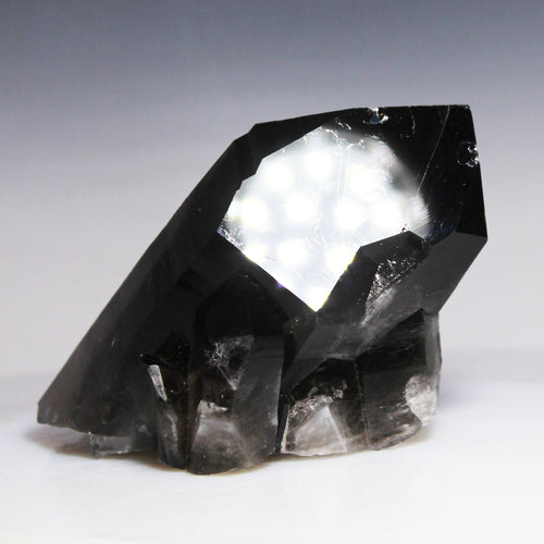 Black Smoky Quartz Curtain of Spears
