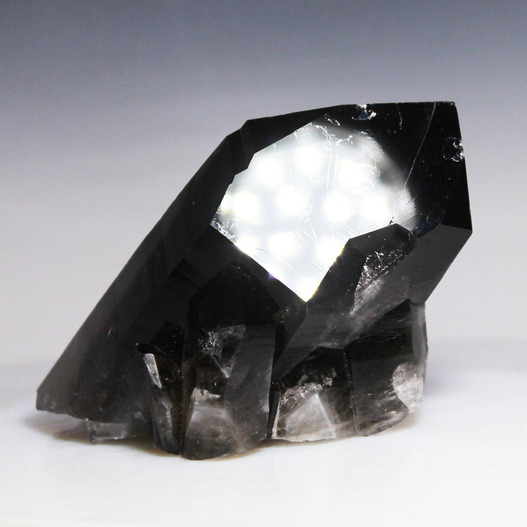 Black Smoky Quartz Curtain of Spears