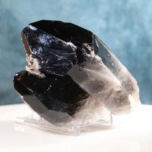 Load image into Gallery viewer, Black Smoky Quartz - 2 Prominent Points - Heavy Dusting of Crystals
