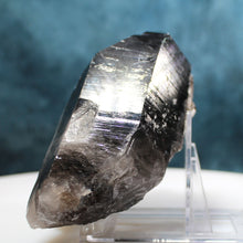 Load image into Gallery viewer, Black Smoky Quartz - 2 Prominent Points - Heavy Dusting of Crystals
