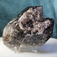 Load image into Gallery viewer, Black Smoky Quartz - 2 Prominent Points - Heavy Dusting of Crystals

