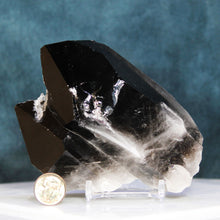 Load image into Gallery viewer, Black Smoky Quartz - 2 Prominent Points - Heavy Dusting of Crystals
