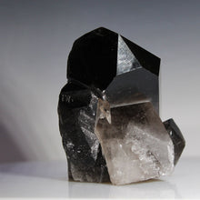 Load image into Gallery viewer, Jet Black Smoky Quartz - Large Prominent Spear
