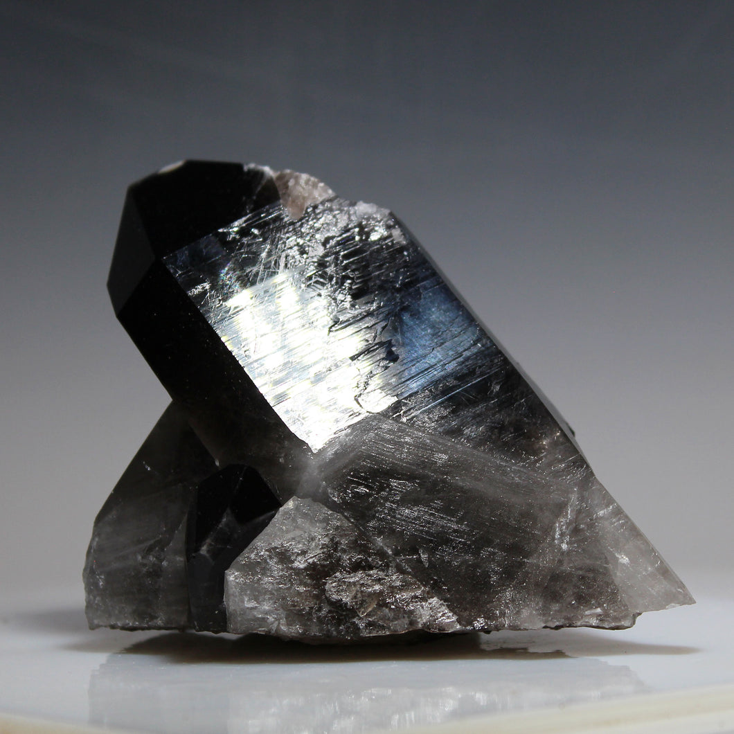 Jet Black Smoky Quartz - Large Prominent Spear