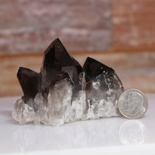 Load image into Gallery viewer, Black Quartz Spears with dime for comparison
