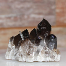 Load image into Gallery viewer, Black Smoky Quartz Prominent Cluster of Points
