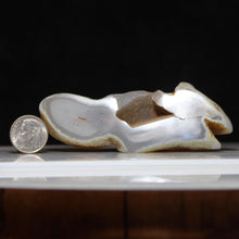 Load image into Gallery viewer, Oregon Chalcedony Open Geode
