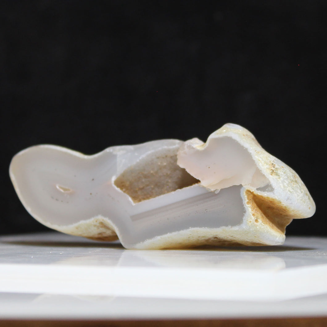 Oregon Chalcedony Open Geode