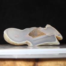 Load image into Gallery viewer, Oregon Chalcedony Open Geode
