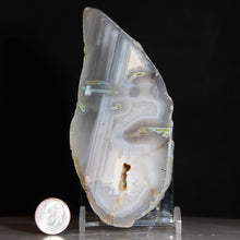 Load image into Gallery viewer, Blue Flame Chalcedony Geode Half
