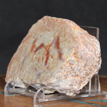 Load image into Gallery viewer, Large Fossil Dino Feces - Red White Coprolite
