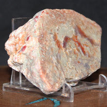 Load image into Gallery viewer, Large Fossil Dino Feces - Red White Coprolite
