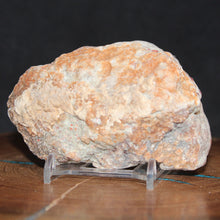 Load image into Gallery viewer, Large Fossil Dino Feces - Red White Coprolite
