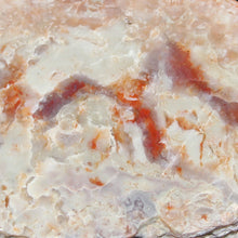 Load image into Gallery viewer, Large Fossil Dino Feces - Red White Coprolite
