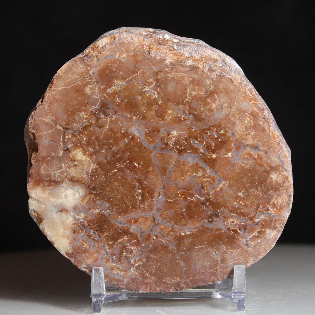 Round Fossil Dino Feces - Rust Red Coprolite