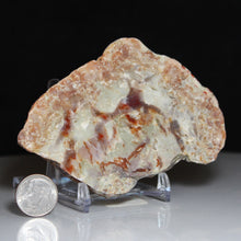 Load image into Gallery viewer, Wide Fossil Dinosaur Feces - Red White Coprolite
