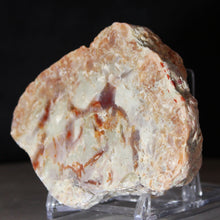 Load image into Gallery viewer, Wide Fossil Dinosaur Feces - Red White Coprolite
