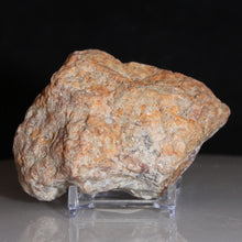 Load image into Gallery viewer, Wide Fossil Dinosaur Feces - Red White Coprolite
