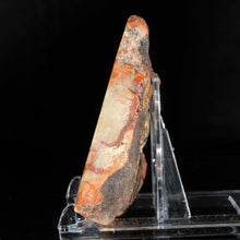 Load image into Gallery viewer, Dinosaur Poop - Fossilized Coprolite - High Quality
