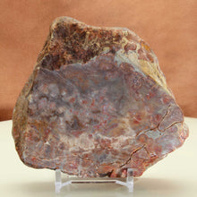Load image into Gallery viewer, Large Fossilized Coprolite - Dinosaur Dung
